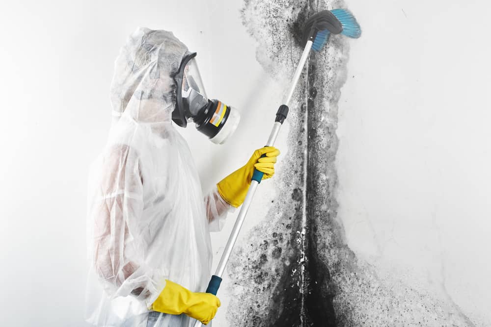 Call a professional to remove the black mold from your home.